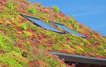 Leytonstone living roof systems